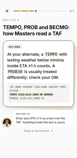 A Learn unit on iPhone